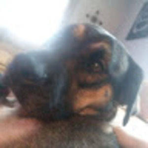 Meet your Posher, Luna